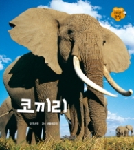 코끼리 (알기 쉬운 자연관찰 1)